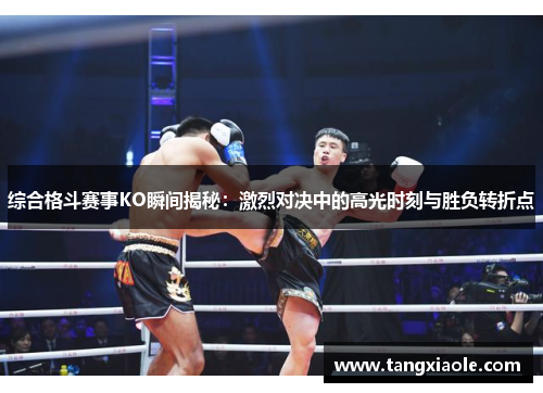 综合格斗赛事KO瞬间揭秘：激烈对决中的高光时刻与胜负转折点