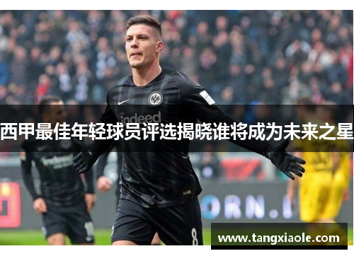 西甲最佳年轻球员评选揭晓谁将成为未来之星